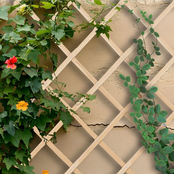 Udtrækkeligt espalier sæt, 180x90x1 cm, naturlig brun, Kodustaar