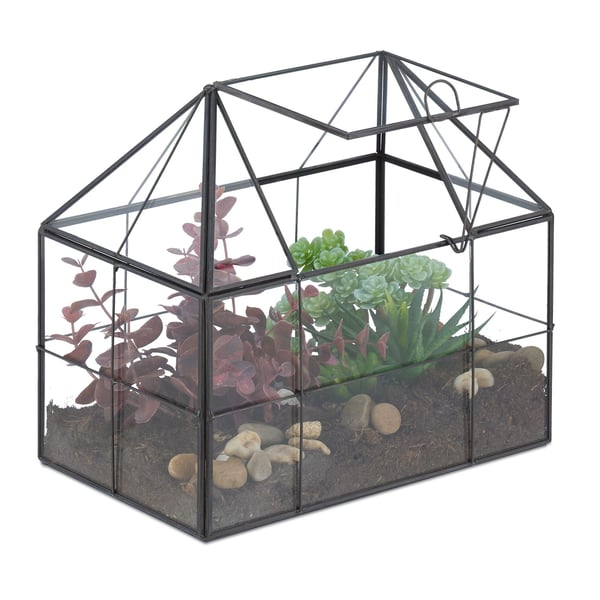 Glasterrarium, husform, 21x23x14 cm, Kodustaar
