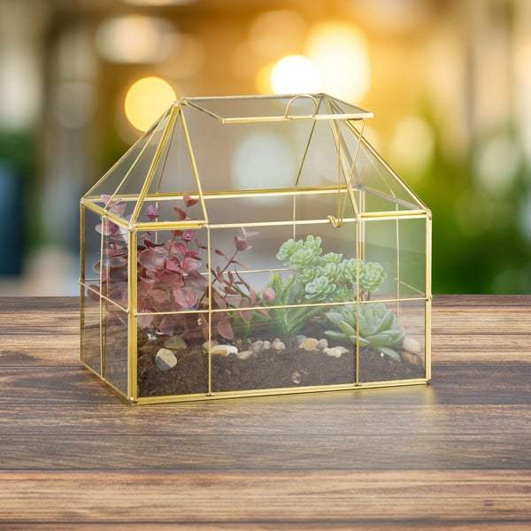 Glasterrarium, husform, 21x23x14 cm, Kodustaar