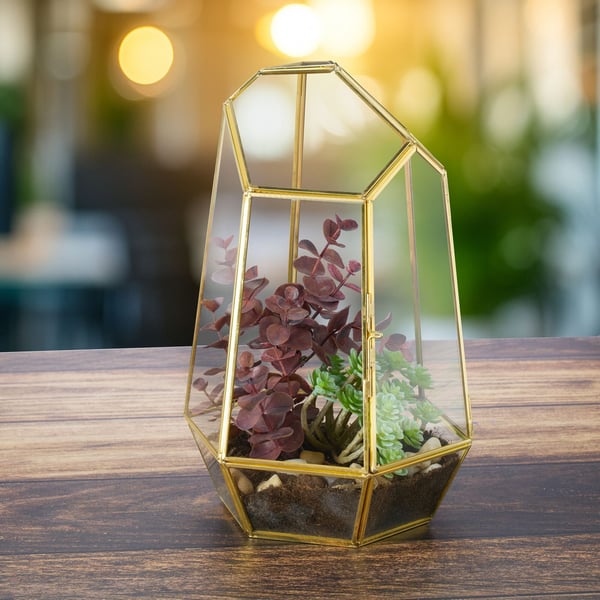 Glasterrarium, 26x18x15 cm, Kodustaar