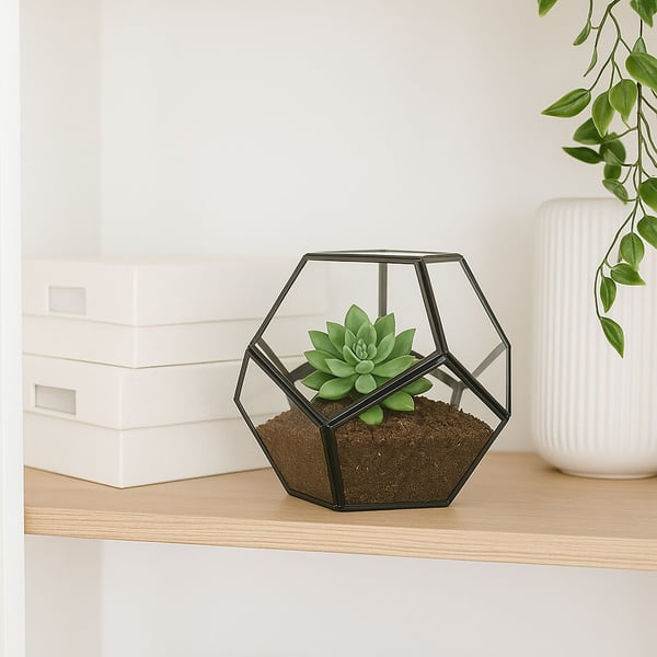 Glasterrarium, 12x14x14 cm, Kodustaar