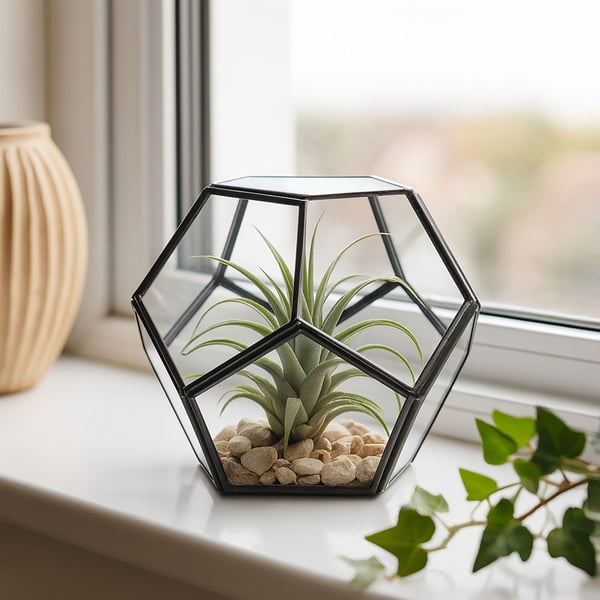Glasterrarium, 12x14x14 cm, Kodustaar