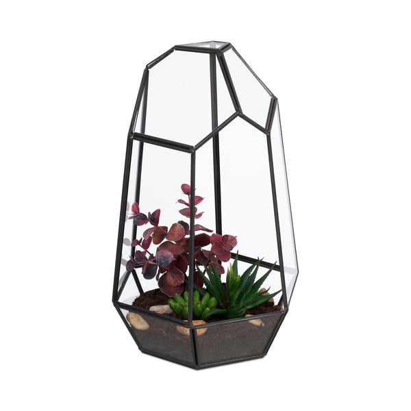Glasterrarium, 25x17x15 cm, Kodustaar