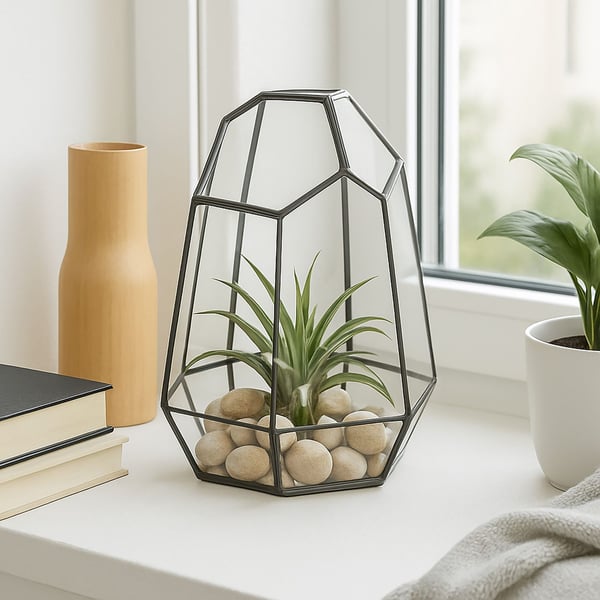 Glasterrarium, 25x17x15 cm, Kodustaar