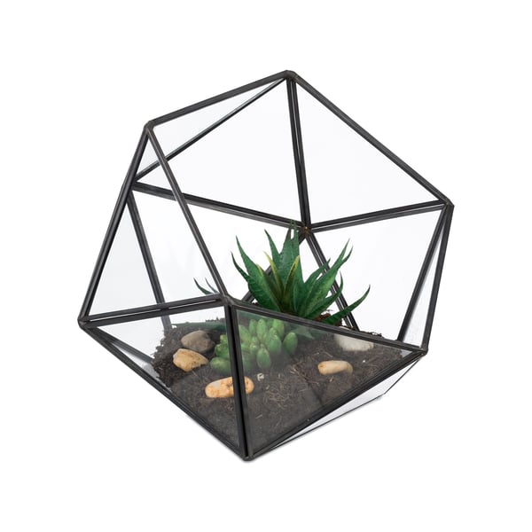 Glasterrarium, 16x17x20 cm, Kodustaar