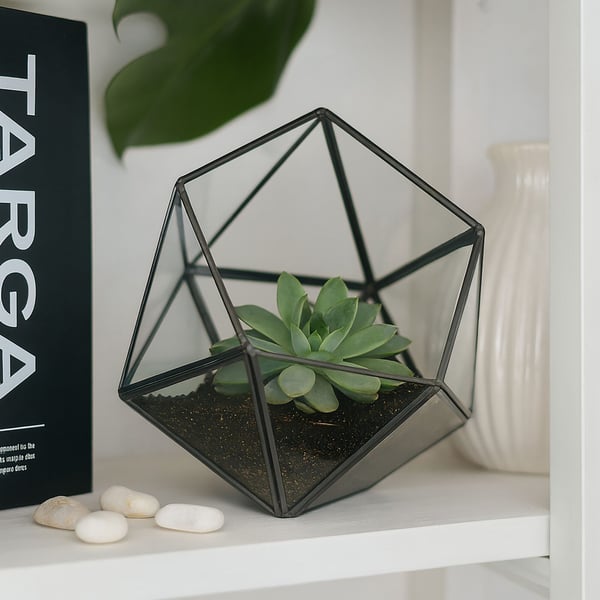 Glasterrarium, 16x17x20 cm, Kodustaar