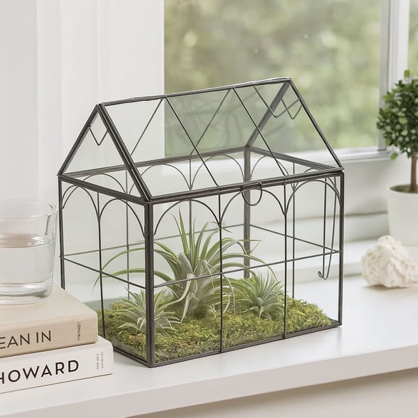 Glasterrarium, 25x24x18 cm, Kodustaar