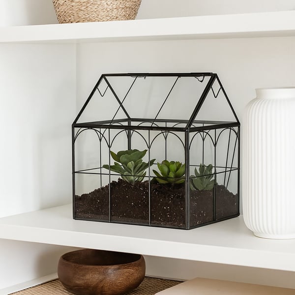 Glasterrarium, 25x24x18 cm, Kodustaar