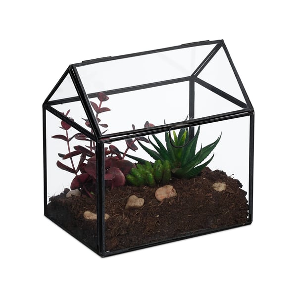 Glasterrarium, 16x16x11,5 cm, Kodustaar