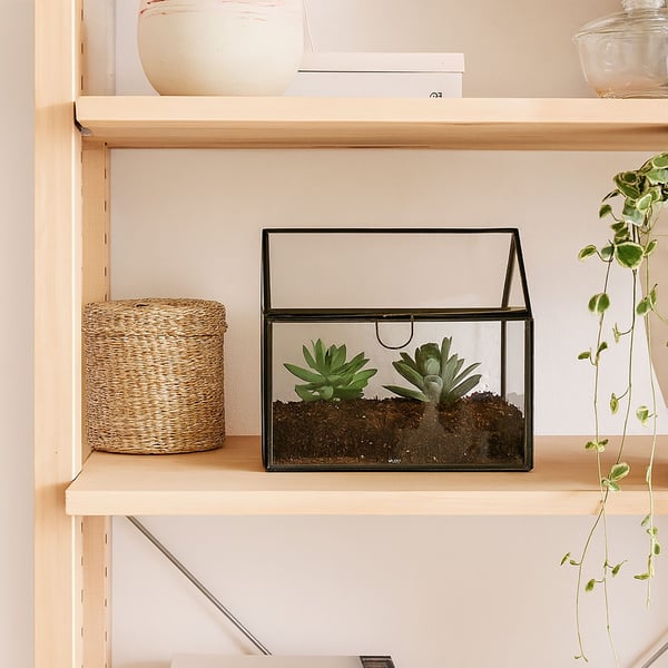 Glasterrarium, 16x16x11,5 cm, Kodustaar