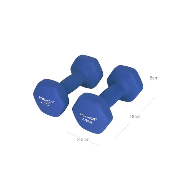 Håndvægte 2-sæt, 2,5 kg, sort