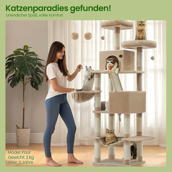 Kattetræ, 60x50x206 cm, Brun