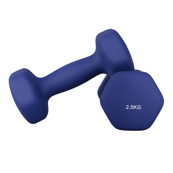 Håndvægte 2-sæt, 2,5 kg, sort
