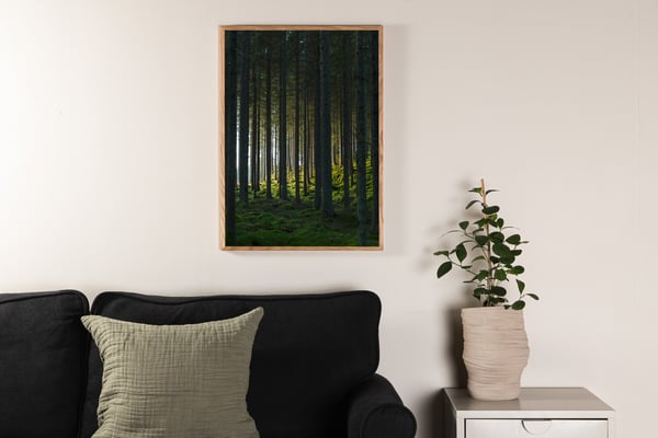 Juliste, Woods, 30x40 cm, Vihreä