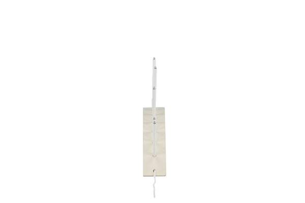 Kynttilänjalka, Björnrike, Beige