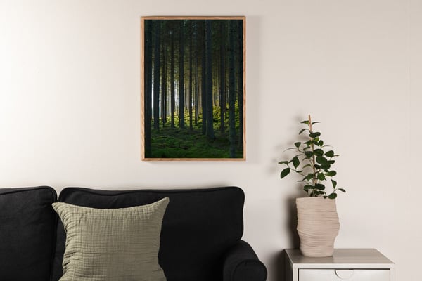 Juliste, Woods, 50x70 cm, Vihreä
