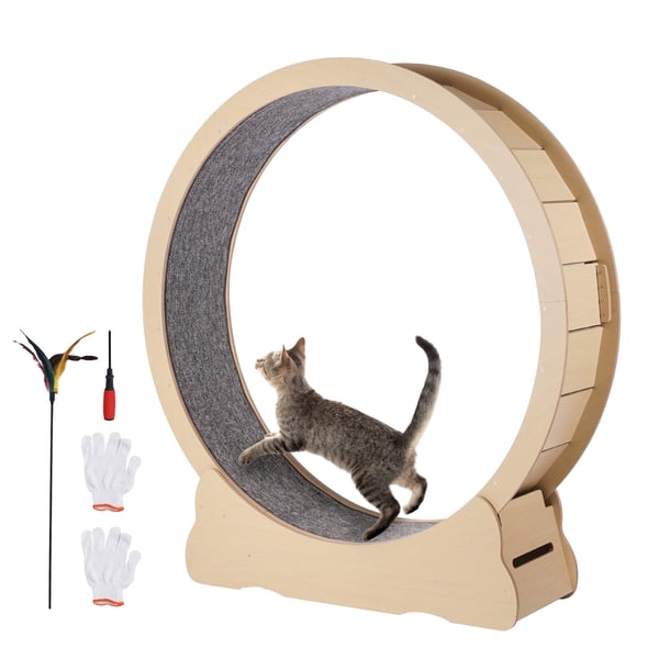 Katte motionshjul, 132x33,8x141,5 cm, Træ Katte motionshjul, 132x33,8x141,5 cm, Træ
