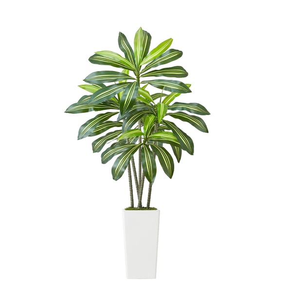 Tekokasvi Dracaena, 70x70x150 cm, valkoinen, PE-materiaali