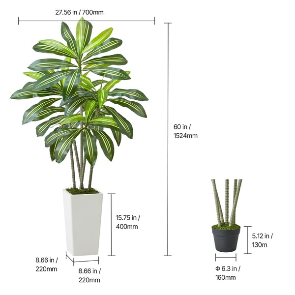 Konstgjord Dracaena-träd, 70x70x150 cm, Vit, PE-material