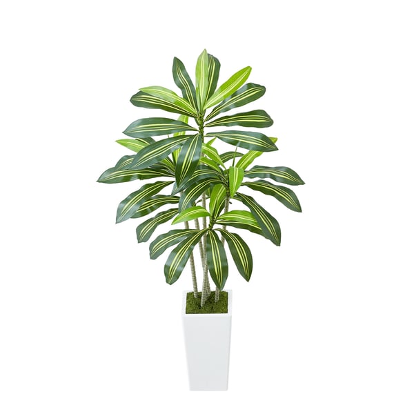Konstgjord Dracaena-träd, 70x70x150 cm, Vit, PE-material