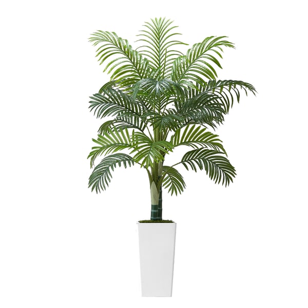 Kunstig Areca-palme, 100x79x155 cm, Hvid, PE-materiale