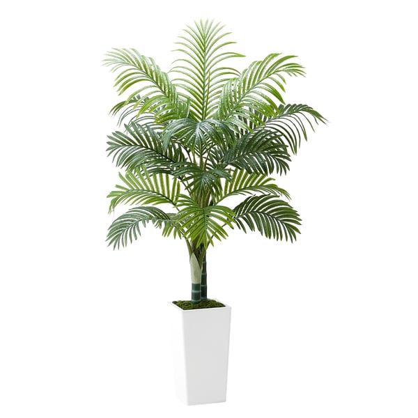 Kunstig Areca-palme, 100x79x155 cm, Hvid, PE-materiale