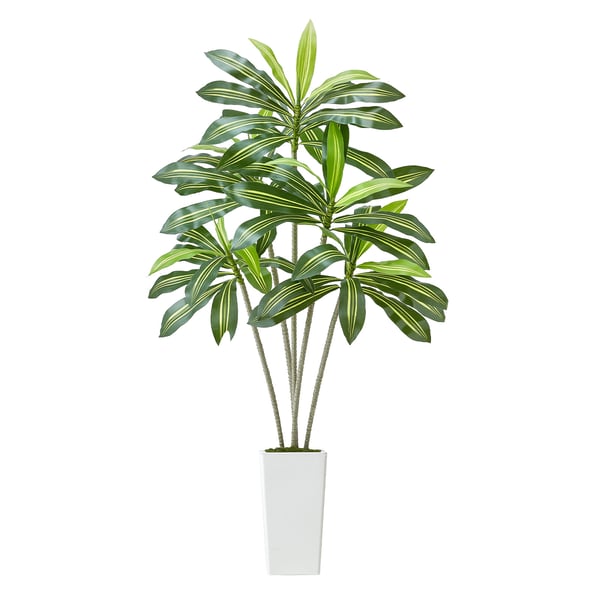 Tekokasvi Dracaena, 80x80x182,4 cm, valkoinen, sisä- ja ulkokäyttöön sisustukseen Tekokasvi Dracaena, 80x80x182,4 cm, valkoinen, sisä- ja ulkokäyttöön sisustukseen
