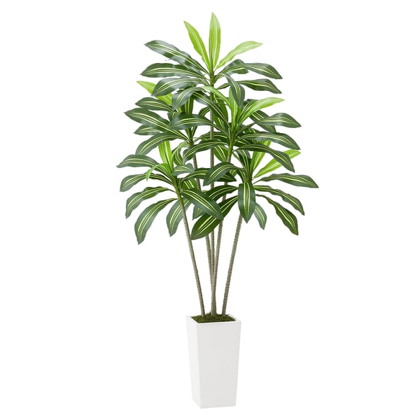 Konstgjord Dracaena-träd, 80x80x182,4 cm, Vit, Inomhus Utomhus Dekor