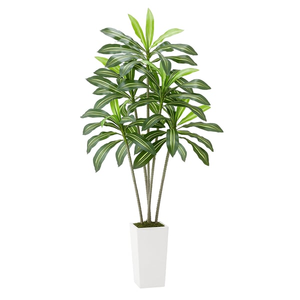 Konstgjord Dracaena-träd, 80x80x182,4 cm, Vit, Inomhus Utomhus Dekor