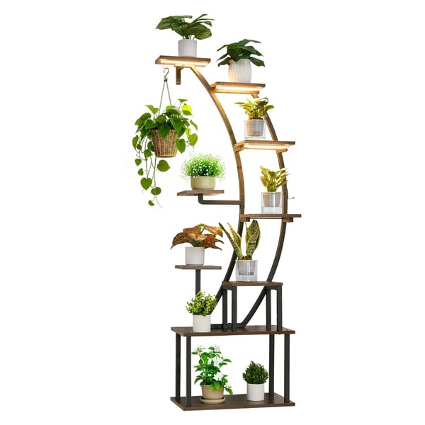 Planteopsats, 62x28x160 cm, Sort, Metal, Indendørs med vækstlys