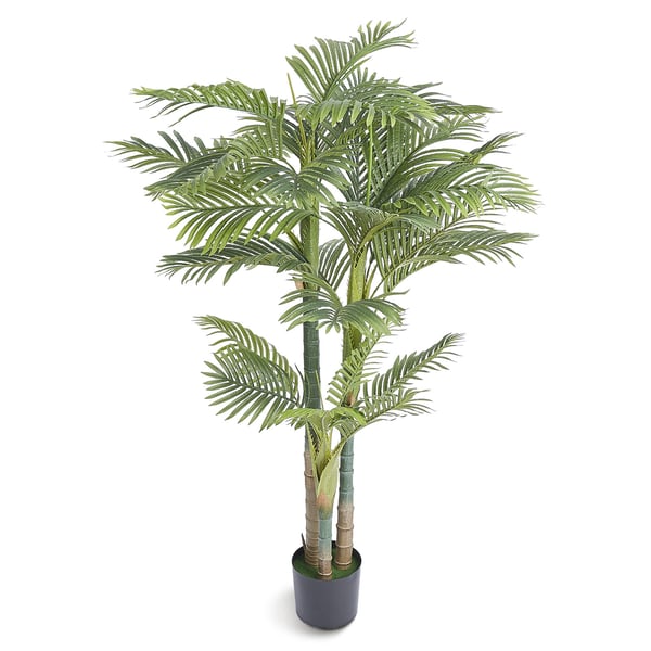 Konstgjord palm, Gold Cane, 103x103x198 cm, Grön, PE-material