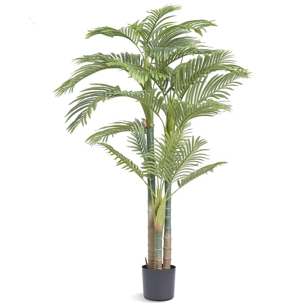 Konstgjord palm, Gold Cane, 103x103x198 cm, Grön, PE-material