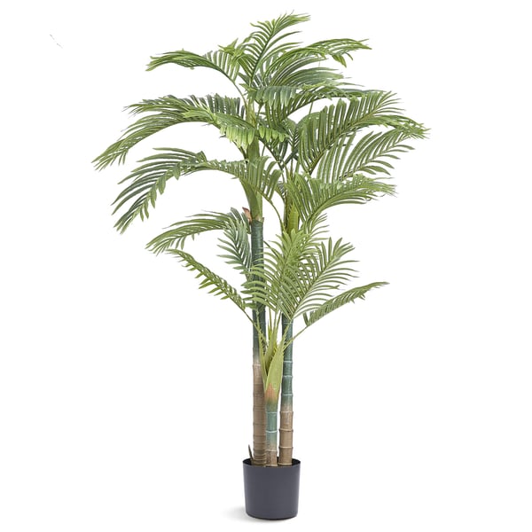 Konstgjord palm, Gold Cane, 103x103x198 cm, Grön, PE-material