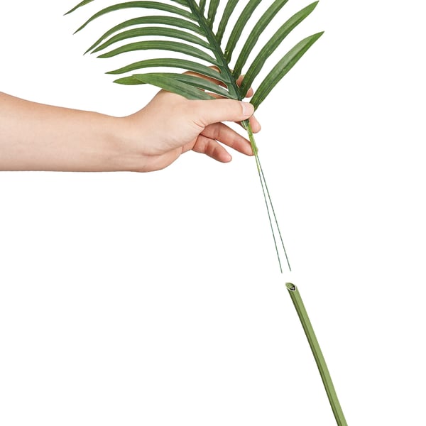 Konstgjord palm, Gold Cane, 103x103x198 cm, Grön, PE-material