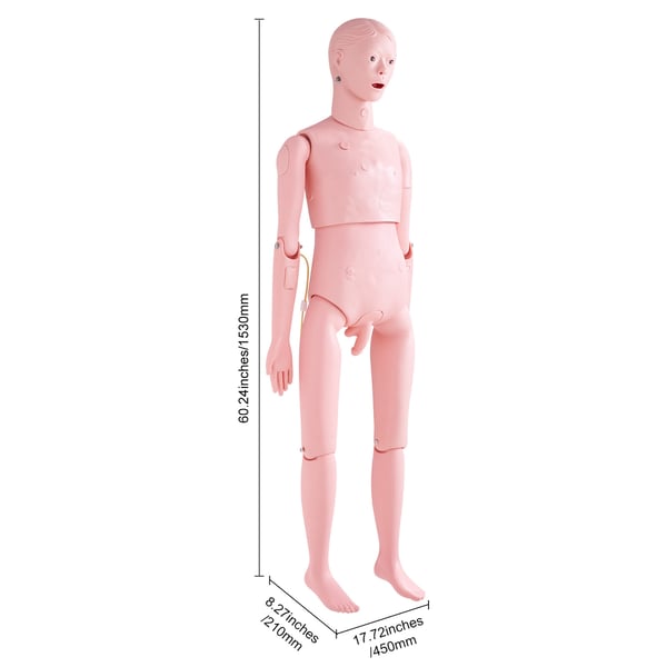 Hoitoharjoittelun nukke, luonnollisen kokoinen mies, 153x45x21 cm, PVC