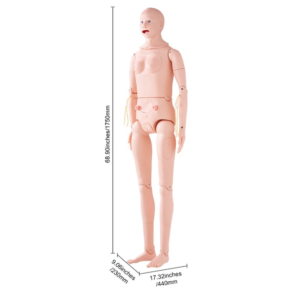 Hoitoharjoittelun nukke, luonnollisen kokoinen 175x44x23 cm, PVC, anatominen malli