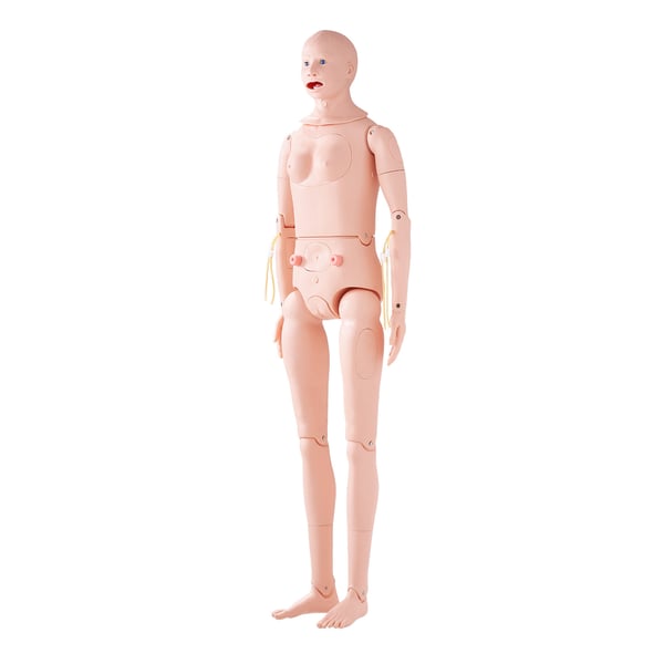 Hoitoharjoittelun nukke, luonnollisen kokoinen 175x44x23 cm, PVC, anatominen malli