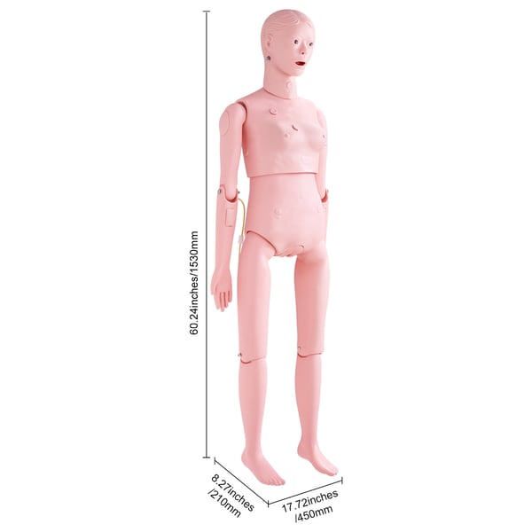 Hoitoharjoittelun nukke, luonnollinen koko 153x45x21 cm, nainen, PVC