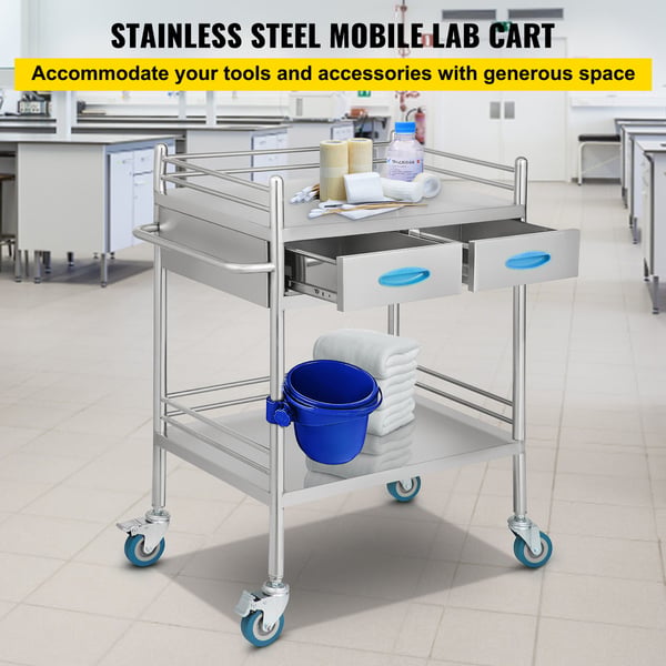 Serveringsvagn, 2-lagers rostfri serveringsvagn, 65,6x38,8x85,5 cm, Silver