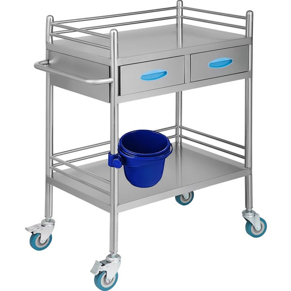 Serveringsvagn, 2-lagers rostfri serveringsvagn, 65,6x38,8x85,5 cm, Silver