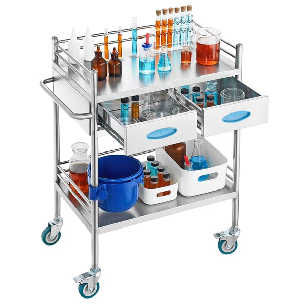 Serveringsvagn, 2-lagers rostfri serveringsvagn, 65,6x38,8x85,5 cm, Silver