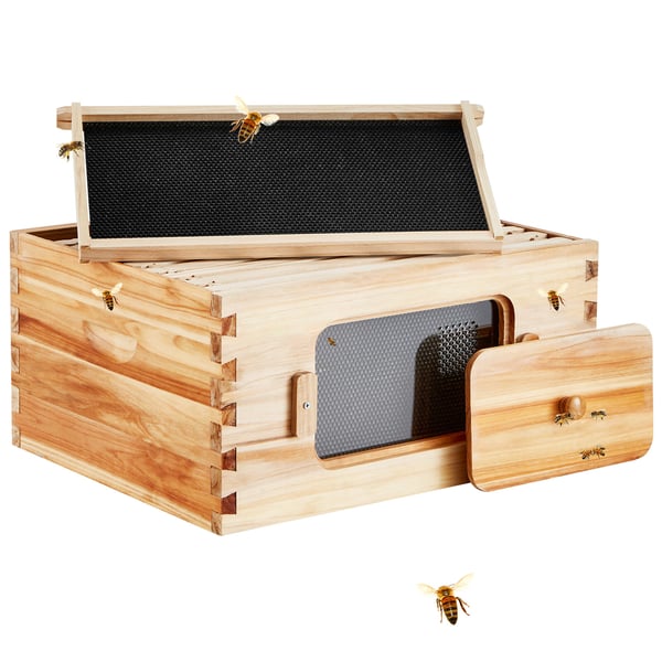 Biodlingsstartpaket, Djup låda, 50.3x41.4x24.5 cm, Transparent, Trä