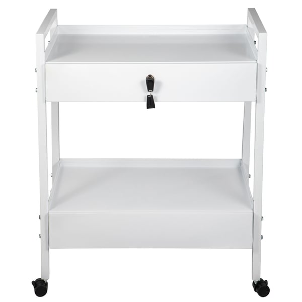 Labvogn, 2 niveauer rustfrit stål rullevogn, 61,5x38x85 cm, hvid, opbevaring