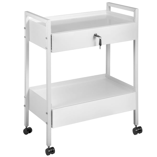 Labvogn, 2 niveauer rustfrit stål rullevogn, 61,5x38x85 cm, hvid, opbevaring