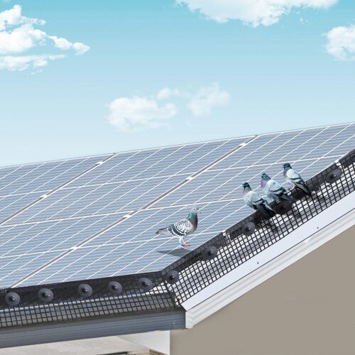 Solpanel Fågelspärr Rullkit, 20x3048 cm, Svart, PVC-belagt stål