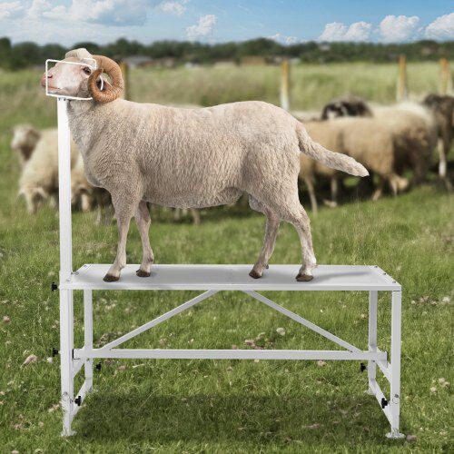 Djurbord, Justerbart get- och fårbord, 119,5x58,4x174 cm, Vit, Metall
