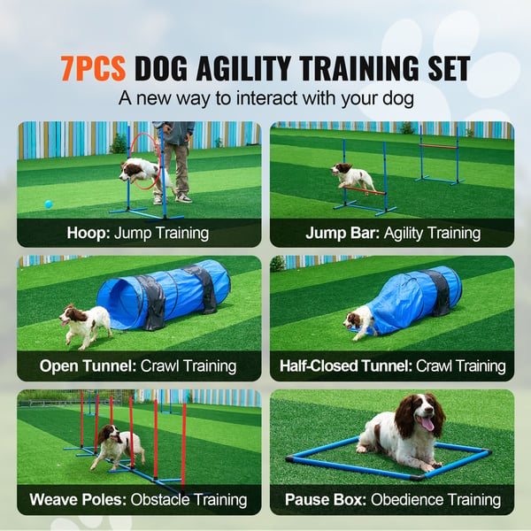 Hund Agility Træningssæt, 7 dele, Justerbare Forhindringer og Tunneler, PVC