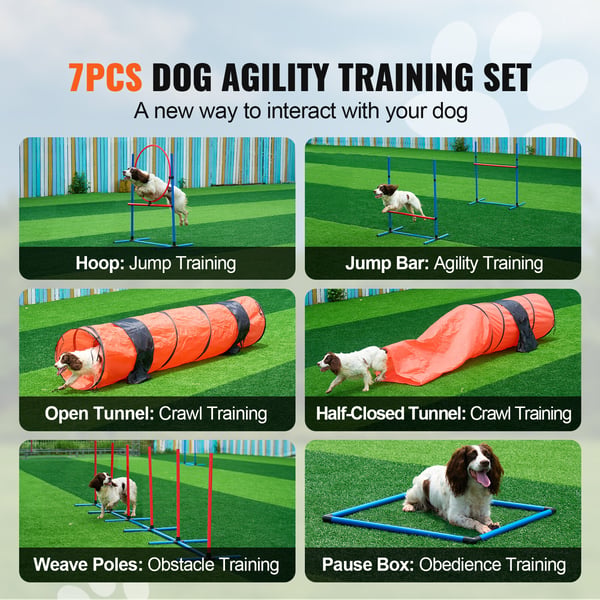 Hund Agility Træningssæt, 7 Dele, 71x299,9x60 cm, Justerbar, PVC