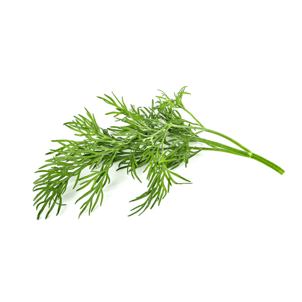 Smart Garden Refill 3-pakning - Dill