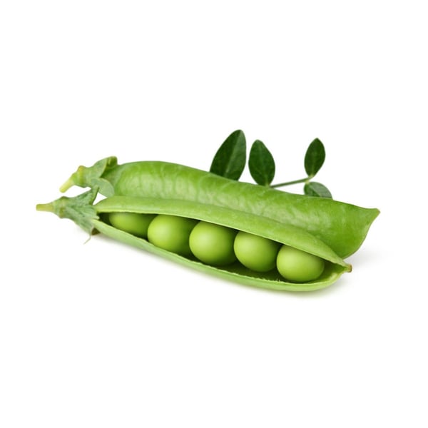 Smart Garden Refill 3-pak - Dværgært